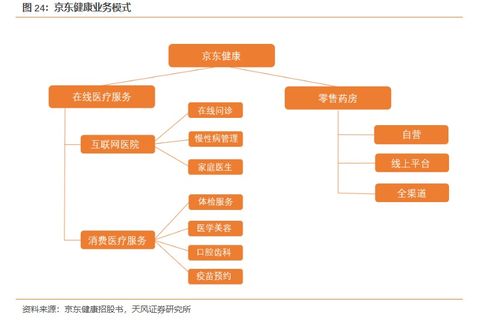天風(fēng)證券 從行業(yè)紅利逐步釋放看京東健康（06618）成長空間——互聯(lián)網(wǎng)銷售的機遇與前景